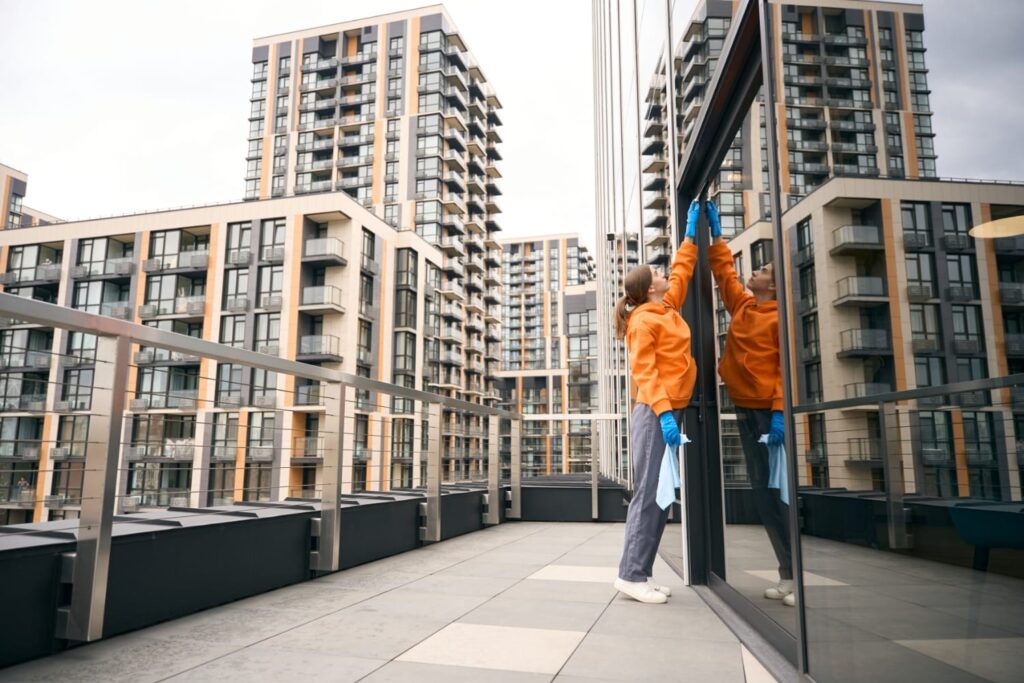 fsm limpieza cristales